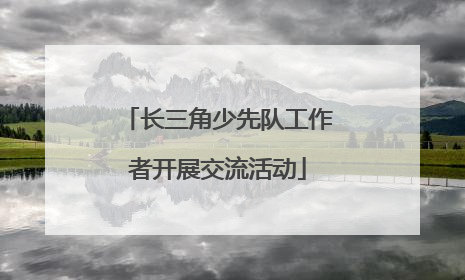 长三角少先队工作者开展交流活动