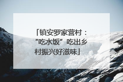 镇安罗家营村：“吃水饭”吃出乡村振兴好滋味