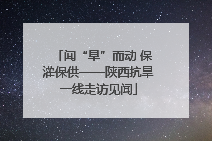 闻“旱”而动 保灌保供——陕西抗旱一线走访见闻