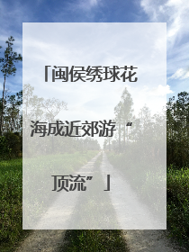 闽侯绣球花海成近郊游“顶流”