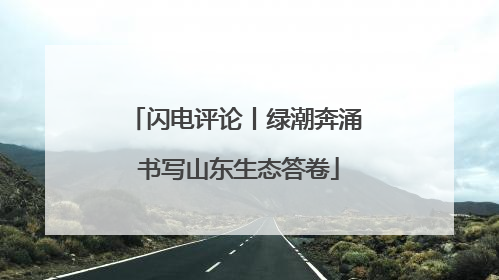 闪电评论丨绿潮奔涌 书写山东生态答卷