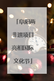 阜阳两非遗项目亮相国际文化节