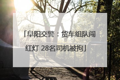 阜阳交警：货车组队闯红灯 28名司机被拘