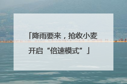 降雨要来，抢收小麦开启“倍速模式”