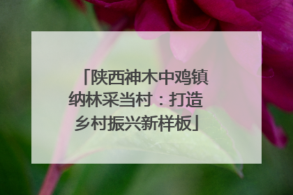 陕西神木中鸡镇纳林采当村：打造乡村振兴新样板