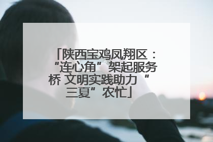 陕西宝鸡凤翔区：“连心角”架起服务桥 文明实践助力“三夏”农忙