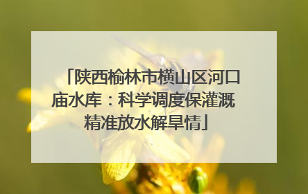 陕西榆林市横山区河口庙水库：科学调度保灌溉 精准放水解旱情