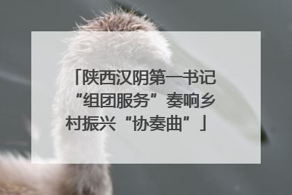 陕西汉阴第一书记“组团服务”奏响乡村振兴“协奏曲”