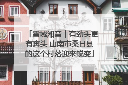 雪域湘音｜有劲头更有奔头 山南市桑日县的这个村落迎来蜕变