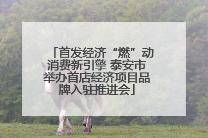 首发经济“燃”动消费新引擎 泰安市举办首店经济项目品牌入驻推进会