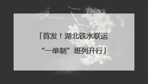 首发！湖北铁水联运“一单制”班列开行