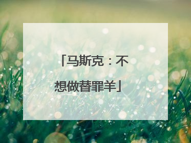 马斯克：不想做替罪羊