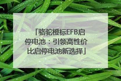 骆驼橙标EFB启停电池：引领高性价比启停电池新选择