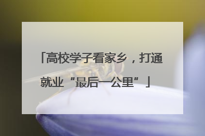 高校学子看家乡，打通就业“最后一公里”