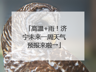 高温+雨！济宁未来一周天气预报来啦→