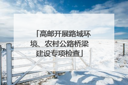 高邮开展路域环境、农村公路桥梁建设专项检查