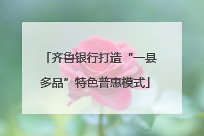 齐鲁银行打造“一县多品”特色普惠模式