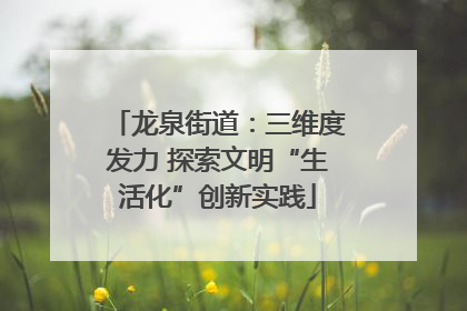 龙泉街道：三维度发力 探索文明“生活化”创新实践