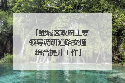 鲤城区政府主要领导调研道路交通综合提升工作