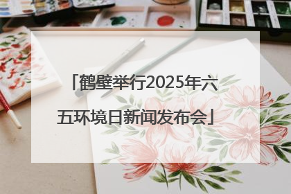 鹤壁举行2025年六五环境日新闻发布会