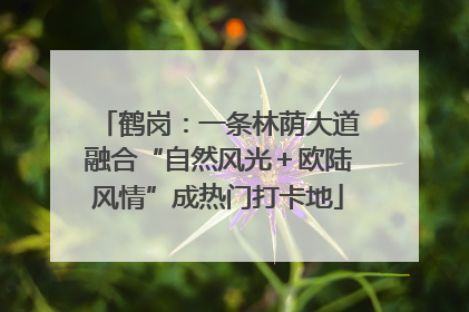 鹤岗：一条林荫大道融合“自然风光＋欧陆风情”成热门打卡地