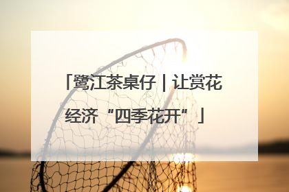 鹭江茶桌仔｜让赏花经济“四季花开”