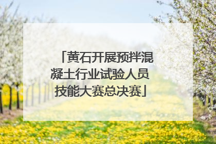 黄石开展预拌混凝土行业试验人员技能大赛总决赛