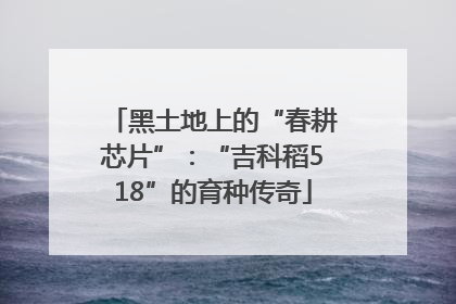 黑土地上的“春耕芯片”：“吉科稻518”的育种传奇