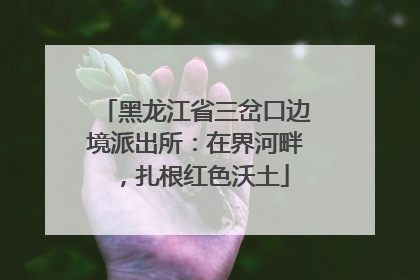 黑龙江省三岔口边境派出所：在界河畔，扎根红色沃土