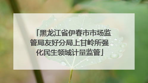黑龙江省伊春市市场监管局友好分局上甘岭所强化民生领域计量监管