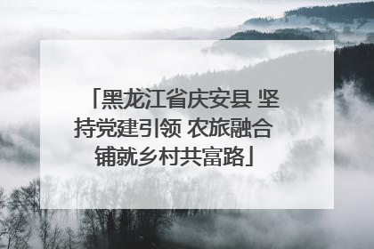 黑龙江省庆安县 坚持党建引领 农旅融合铺就乡村共富路