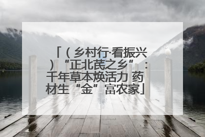 （乡村行·看振兴）“正北芪之乡”：千年草本焕活力 药材生“金”富农家