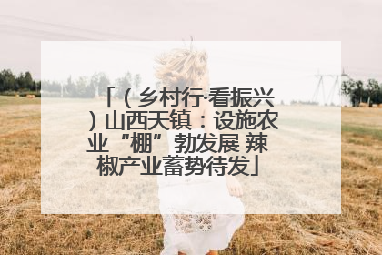 （乡村行·看振兴）山西天镇：设施农业“棚”勃发展 辣椒产业蓄势待发