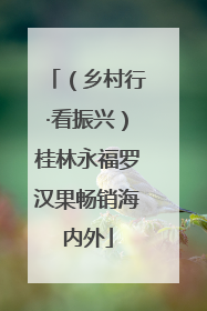（乡村行·看振兴）桂林永福罗汉果畅销海内外
