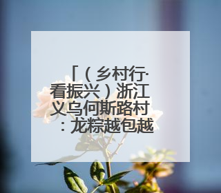 （乡村行·看振兴）浙江义乌何斯路村：龙粽越包越长折射乡村人气渐旺