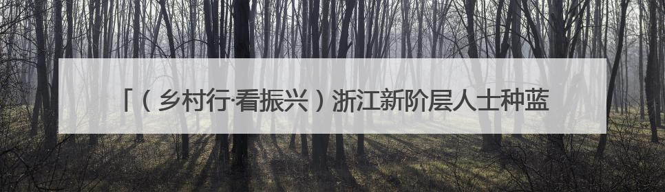 （乡村行·看振兴）浙江新阶层人士种蓝莓16载 盼用AI赋能“二次创业”