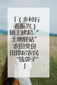 （乡村行·看振兴）镇上建起“土地驿站” 农田变良田撑起农民“钱袋子”