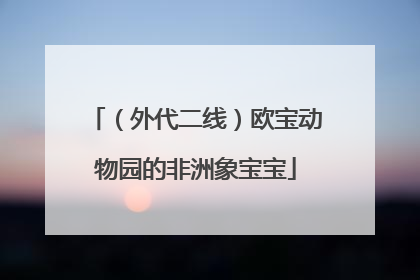 （外代二线）欧宝动物园的非洲象宝宝