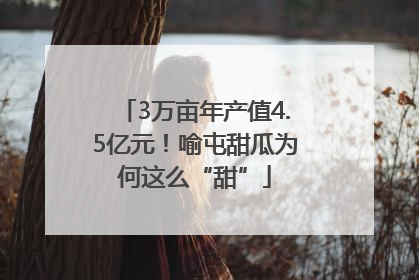 3万亩年产值4.5亿元！喻屯甜瓜为何这么“甜”