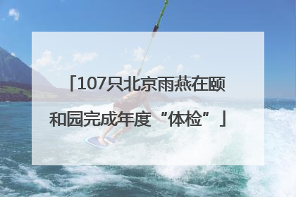 107只北京雨燕在颐和园完成年度“体检”