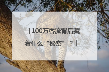 100万客流背后藏着什么“秘密”？