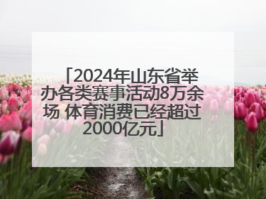 2024年山东省举办各类赛事活动8万余场 体育消费已经超过2000亿元