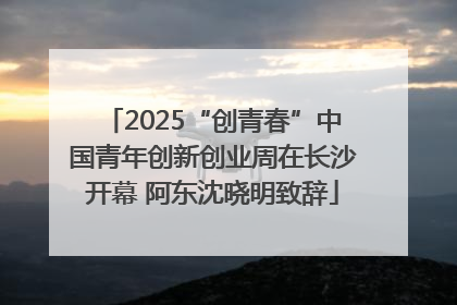 2025“创青春”中国青年创新创业周在长沙开幕 阿东沈晓明致辞