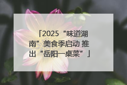 2025“味道湖南”美食季启动 推出“岳阳一桌菜”