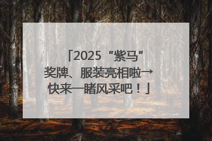 2025“紫马”奖牌、服装亮相啦→快来一睹风采吧！