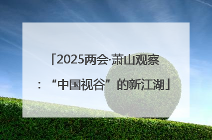 2025两会·萧山观察：“中国视谷”的新江湖