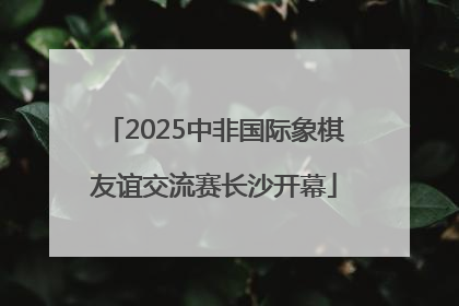 2025中非国际象棋友谊交流赛长沙开幕