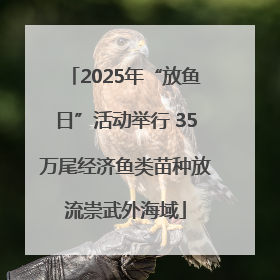 2025年“放鱼日”活动举行 35万尾经济鱼类苗种放流崇武外海域