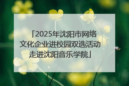 2025年沈阳市网络文化企业进校园双选活动走进沈阳音乐学院