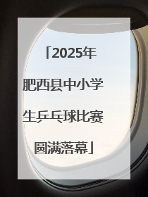 2025年肥西县中小学生乒乓球比赛圆满落幕